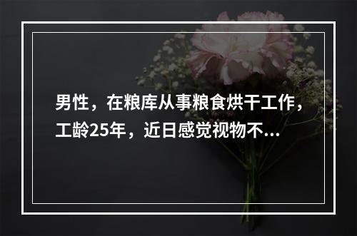 男性，在粮库从事粮食烘干工作，工龄25年，近日感觉视物不清，