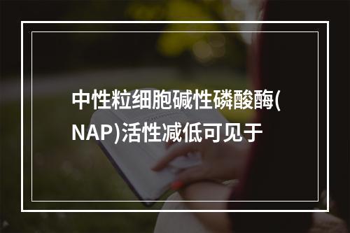 中性粒细胞碱性磷酸酶(NAP)活性减低可见于