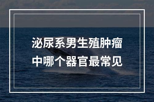 泌尿系男生殖肿瘤中哪个器官最常见