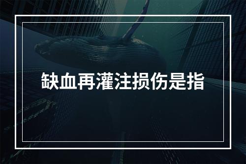 缺血再灌注损伤是指