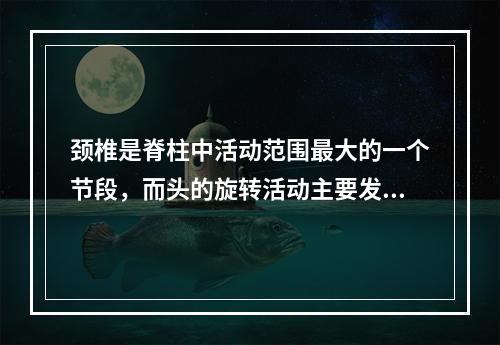 颈椎是脊柱中活动范围最大的一个节段，而头的旋转活动主要发生在