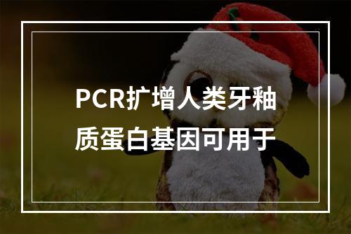 PCR扩增人类牙釉质蛋白基因可用于