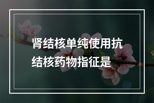 肾结核单纯使用抗结核药物指征是