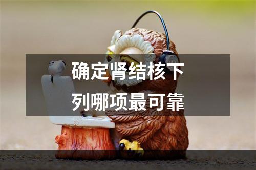 确定肾结核下列哪项最可靠