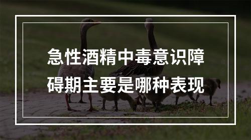 急性酒精中毒意识障碍期主要是哪种表现