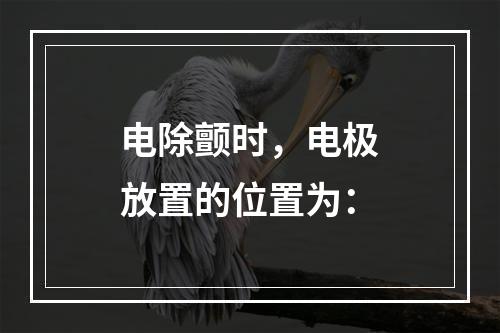 电除颤时，电极放置的位置为：