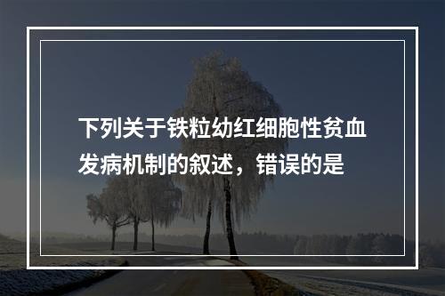 下列关于铁粒幼红细胞性贫血发病机制的叙述，错误的是