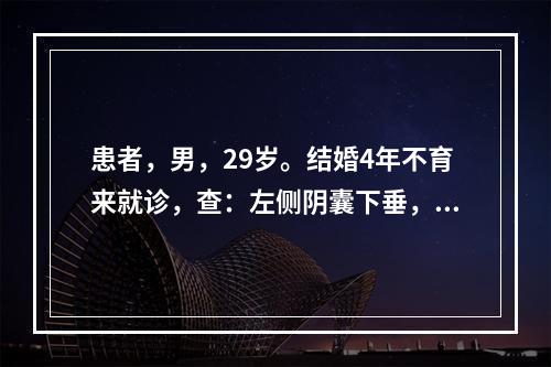 患者，男，29岁。结婚4年不育来就诊，查：左侧阴囊下垂，左睾