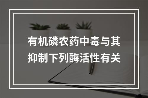 有机磷农药中毒与其抑制下列酶活性有关