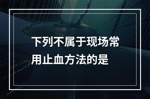 下列不属于现场常用止血方法的是