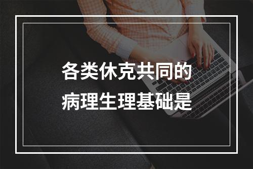 各类休克共同的病理生理基础是