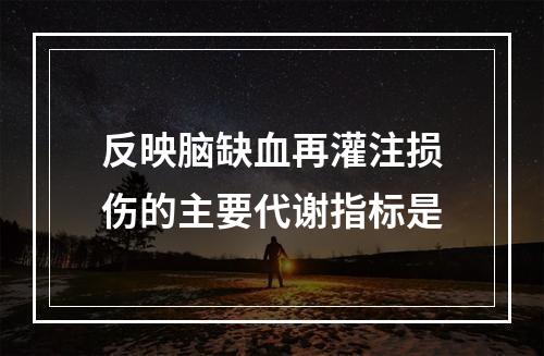 反映脑缺血再灌注损伤的主要代谢指标是