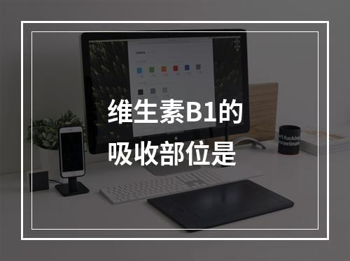 维生素B1的吸收部位是