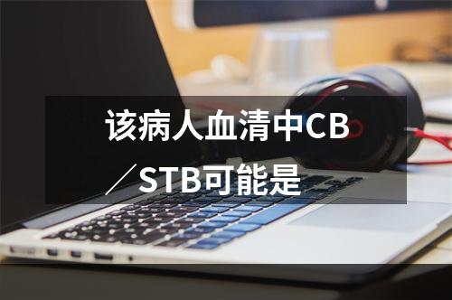 该病人血清中CB／STB可能是