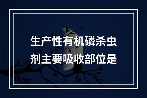 生产性有机磷杀虫剂主要吸收部位是