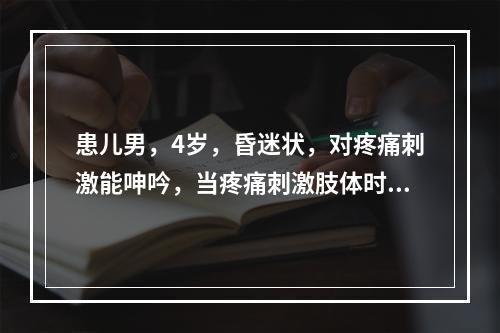 患儿男，4岁，昏迷状，对疼痛刺激能呻吟，当疼痛刺激肢体时亦能