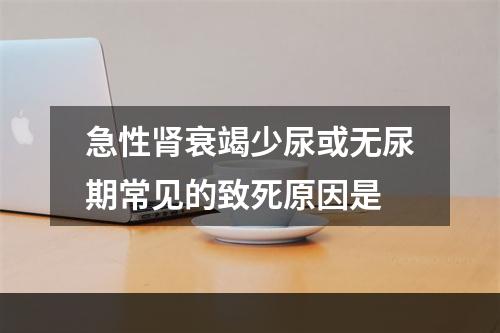 急性肾衰竭少尿或无尿期常见的致死原因是