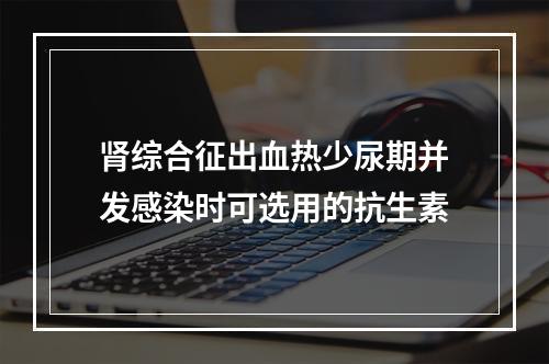 肾综合征出血热少尿期并发感染时可选用的抗生素