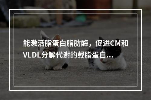 能激活脂蛋白脂肪酶，促进CM和VLDL分解代谢的载脂蛋白是