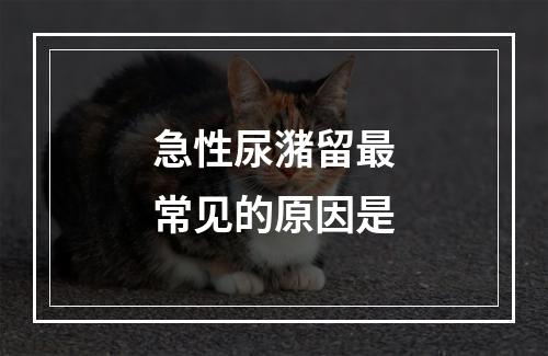 急性尿潴留最常见的原因是