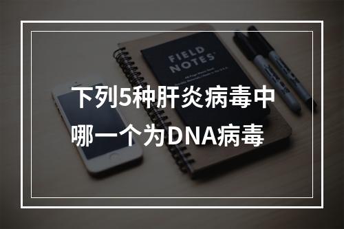 下列5种肝炎病毒中哪一个为DNA病毒