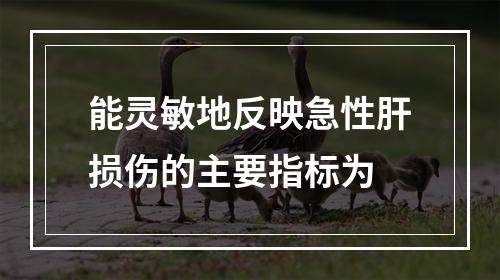 能灵敏地反映急性肝损伤的主要指标为