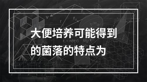 大便培养可能得到的菌落的特点为