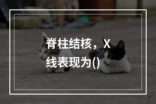 脊柱结核，X线表现为()