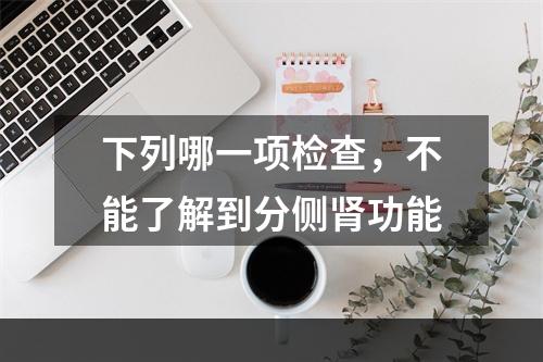 下列哪一项检查，不能了解到分侧肾功能