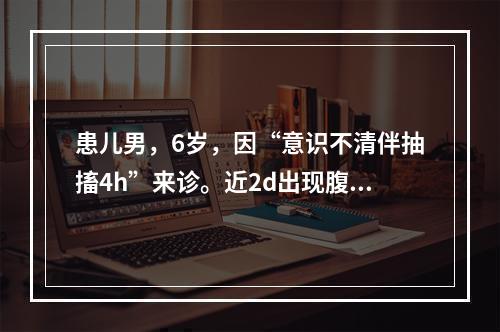 患儿男，6岁，因“意识不清伴抽搐4h”来诊。近2d出现腹泻，