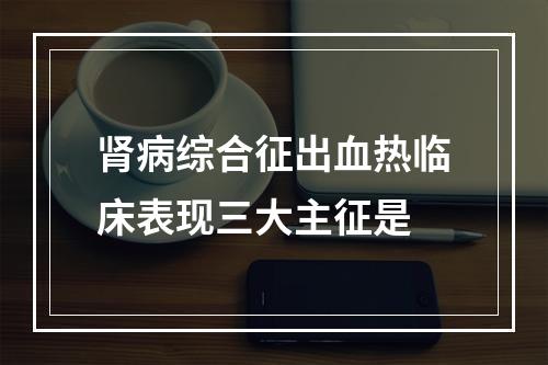 肾病综合征出血热临床表现三大主征是