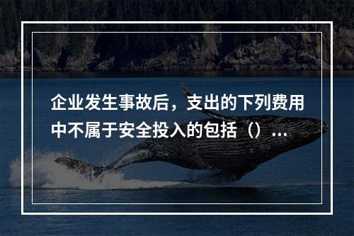 企业发生事故后，支出的下列费用中不属于安全投入的包括（）。