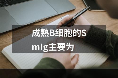 成熟B细胞的SmIg主要为