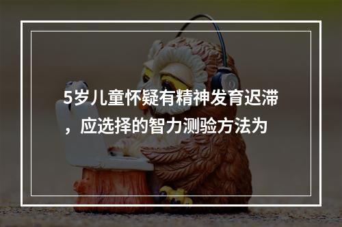 5岁儿童怀疑有精神发育迟滞，应选择的智力测验方法为