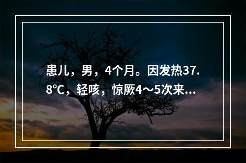 患儿，男，4个月。因发热37.8℃，轻咳，惊厥4～5次来诊。