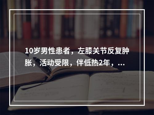 10岁男性患者，左膝关节反复肿胀，活动受限，伴低热2年，经抗