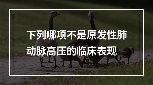 下列哪项不是原发性肺动脉高压的临床表现