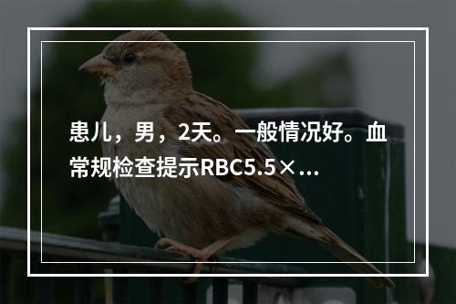 患儿，男，2天。一般情况好。血常规检查提示RBC5.5×10