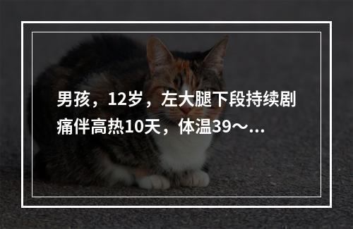 男孩，12岁，左大腿下段持续剧痛伴高热10天，体温39～40