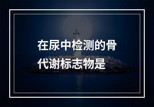 在尿中检测的骨代谢标志物是