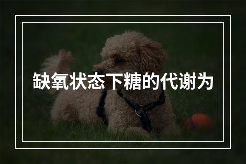 缺氧状态下糖的代谢为