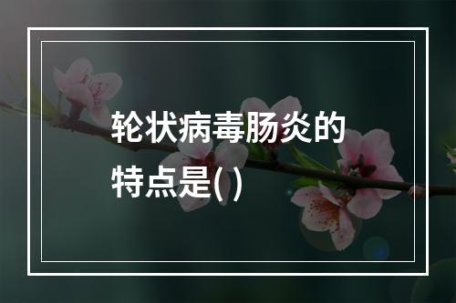 轮状病毒肠炎的特点是( )