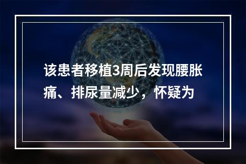 该患者移植3周后发现腰胀痛、排尿量减少，怀疑为