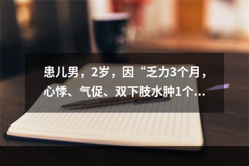 患儿男，2岁，因“乏力3个月，心悸、气促、双下肢水肿1个月”