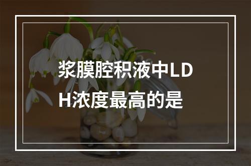 浆膜腔积液中LDH浓度最高的是