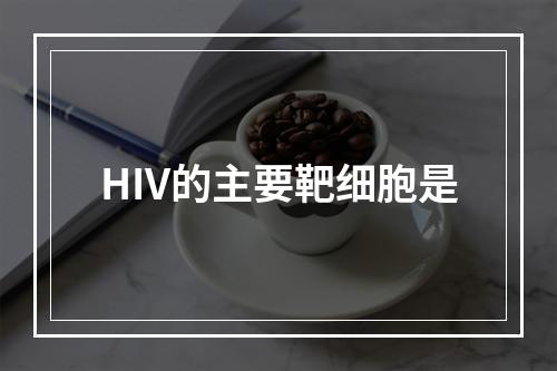 HIV的主要靶细胞是