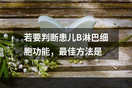 若要判断患儿B淋巴细胞功能，最佳方法是