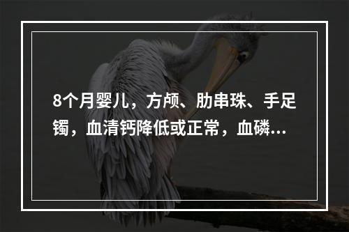 8个月婴儿，方颅、肋串珠、手足镯，血清钙降低或正常，血磷降低