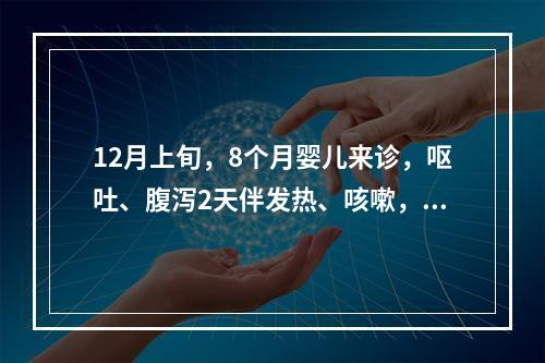 12月上旬，8个月婴儿来诊，呕吐、腹泻2天伴发热、咳嗽，大便