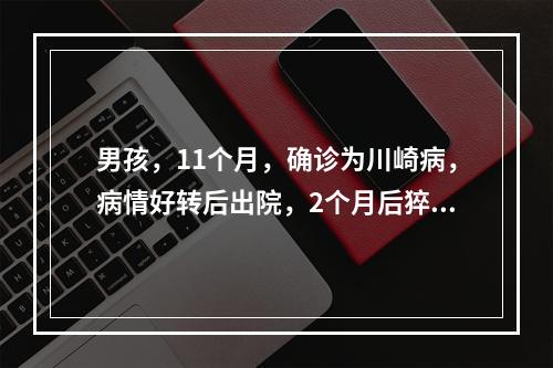 男孩，11个月，确诊为川崎病，病情好转后出院，2个月后猝死于